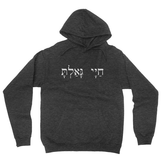 You Have Redeemed My Life (Hebrew) - Hoodie | Missional Wear